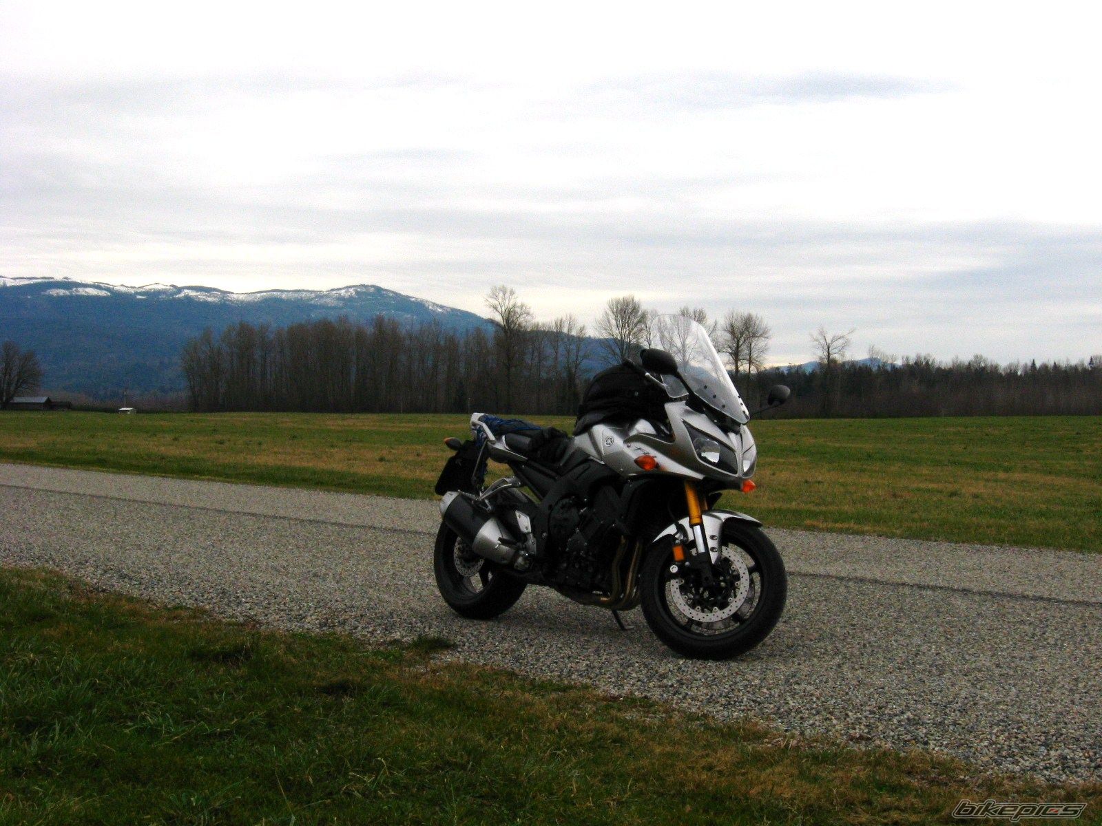 2006 YAMAHA FZ 1 | Picture 1286371 motorcycle photo