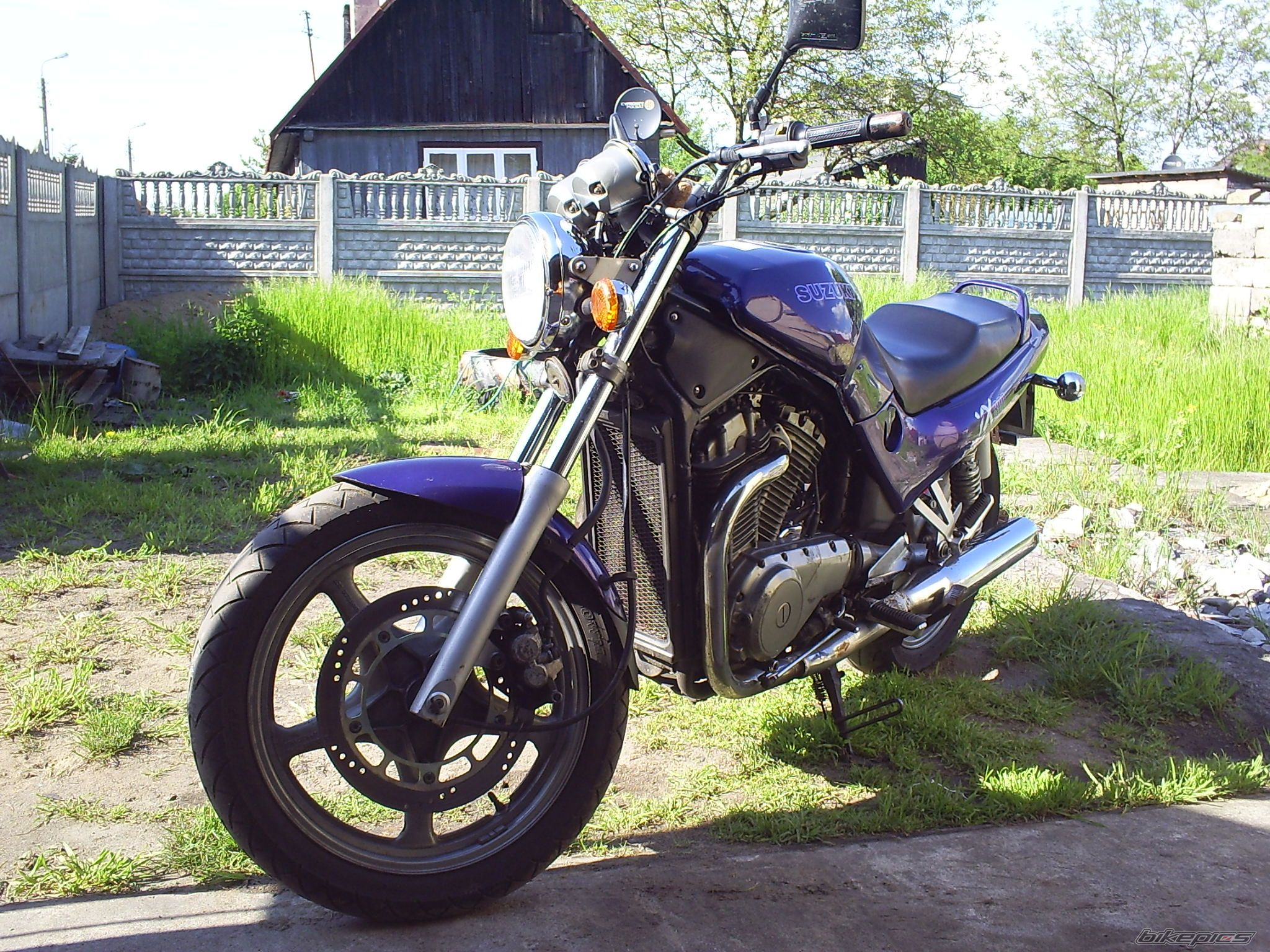 1993 SUZUKI VX 800 | Picture 1286373 motorcycle photo