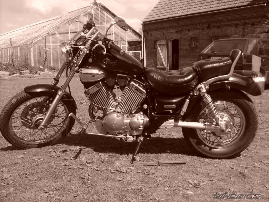 1992 YAMAHA VIRAGO 535 | Picture 1286565 motorcycle photo