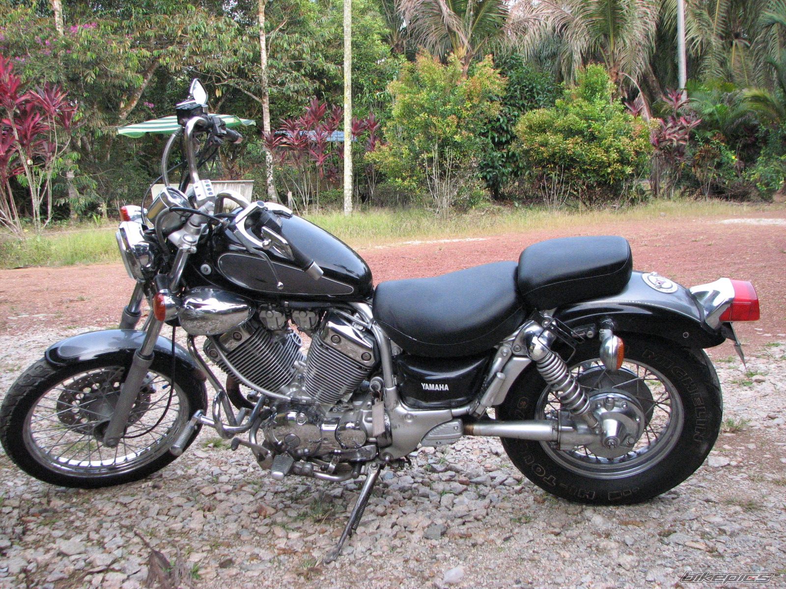 1997 YAMAHA VIRAGO 535 | Picture 1286880 motorcycle photo