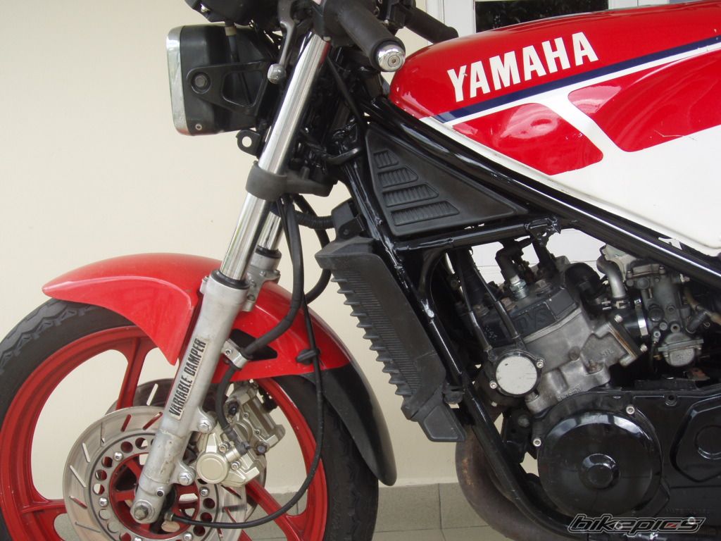 1986 YAMAHA RZ 350 | Picture 1287114 motorcycle photo