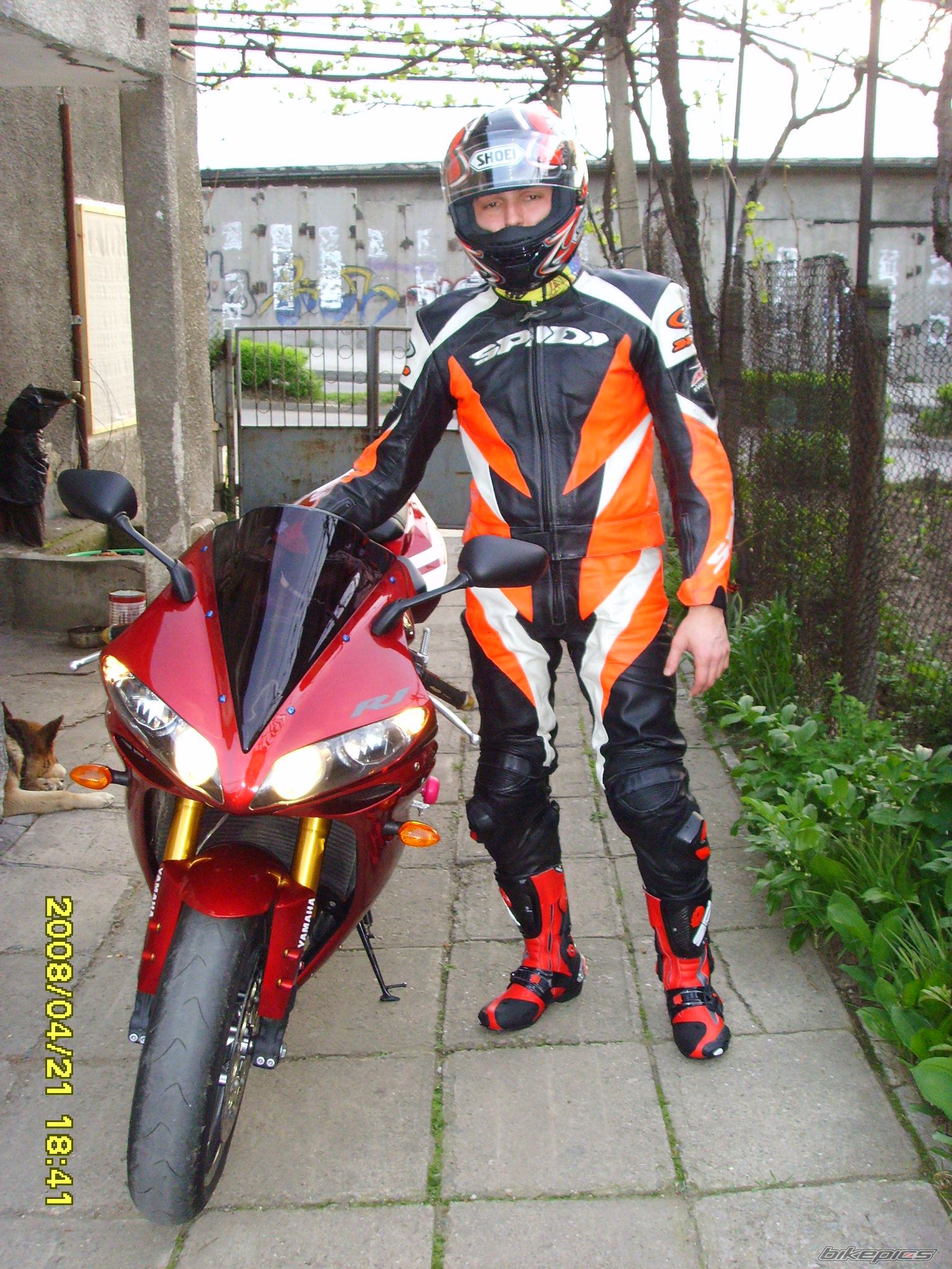    | Picture 1287131 motorcycle photo