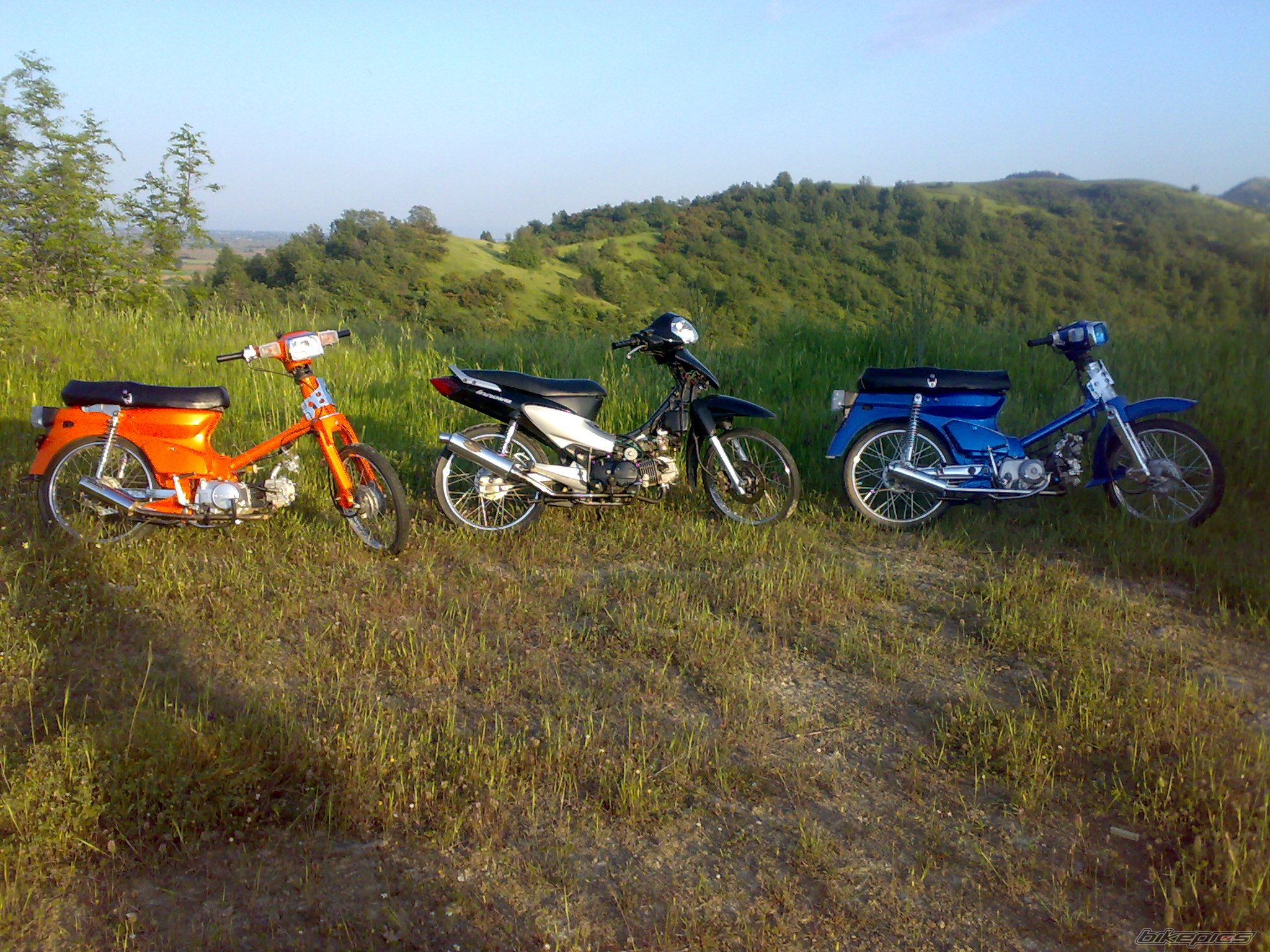 2008 HONDA C 50 | Picture 1287622 motorcycle photo