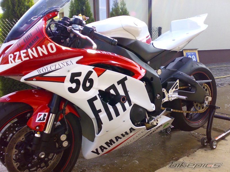2008 YAMAHA YZF R6 | Picture 1287774 motorcycle photo