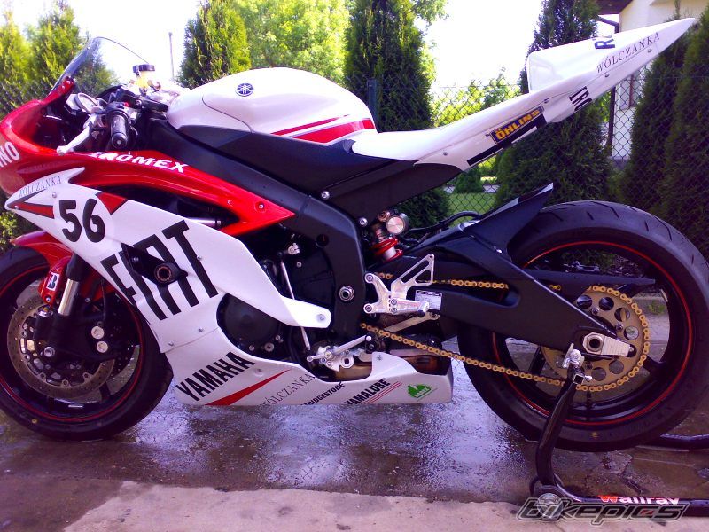 2008 YAMAHA YZF R6 | Picture 1287775 motorcycle photo