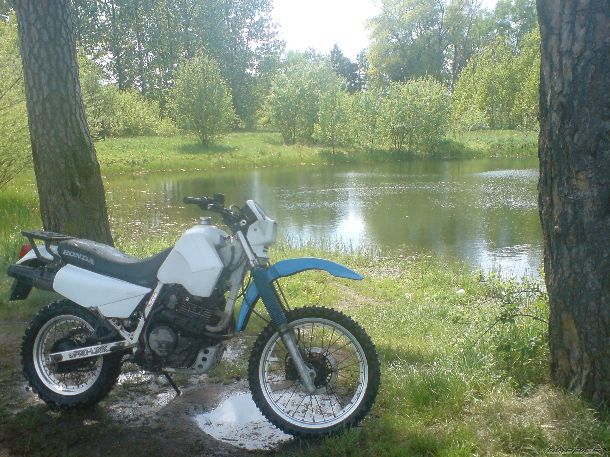 1989 HONDA XL 600 | Picture 1287819 motorcycle photo