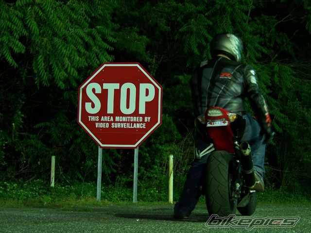 2005 SUZUKI GSX R 1000 | Picture 1288106 motorcycle photo