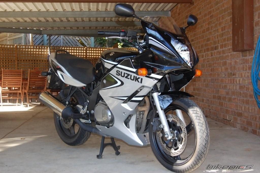 2006 SUZUKI GS 500 | Picture 1288264 motorcycle photo