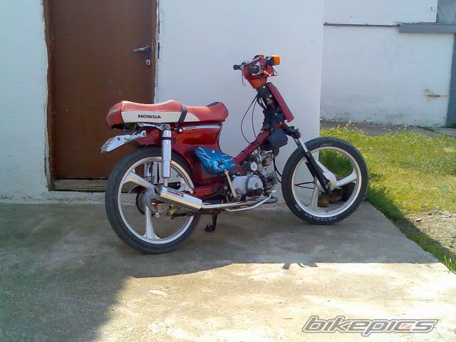 2009 HONDA C 90 | Picture 1288324 motorcycle photo