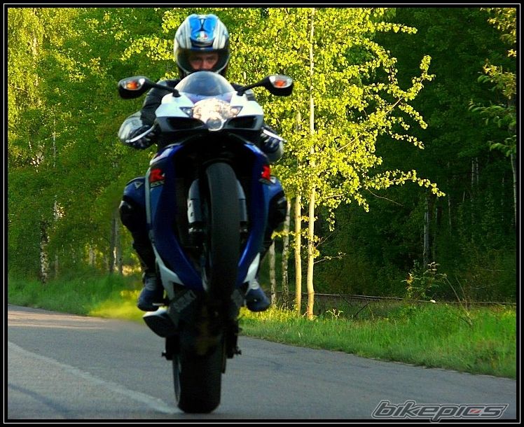 2007 SUZUKI GSX R 750 | Picture 1288906 motorcycle photo