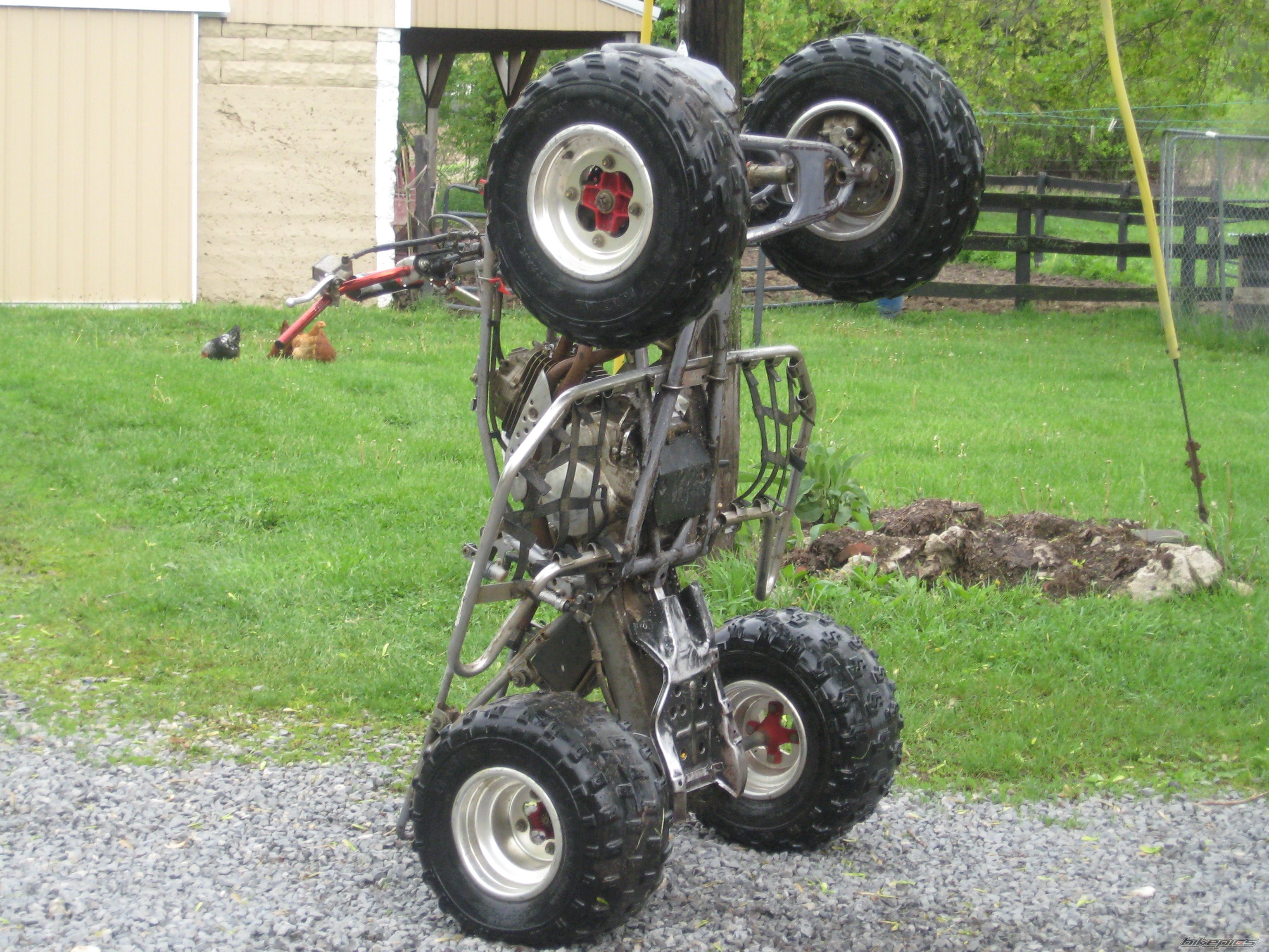 2000 HONDA 400EX | Picture 1289039 motorcycle photo
