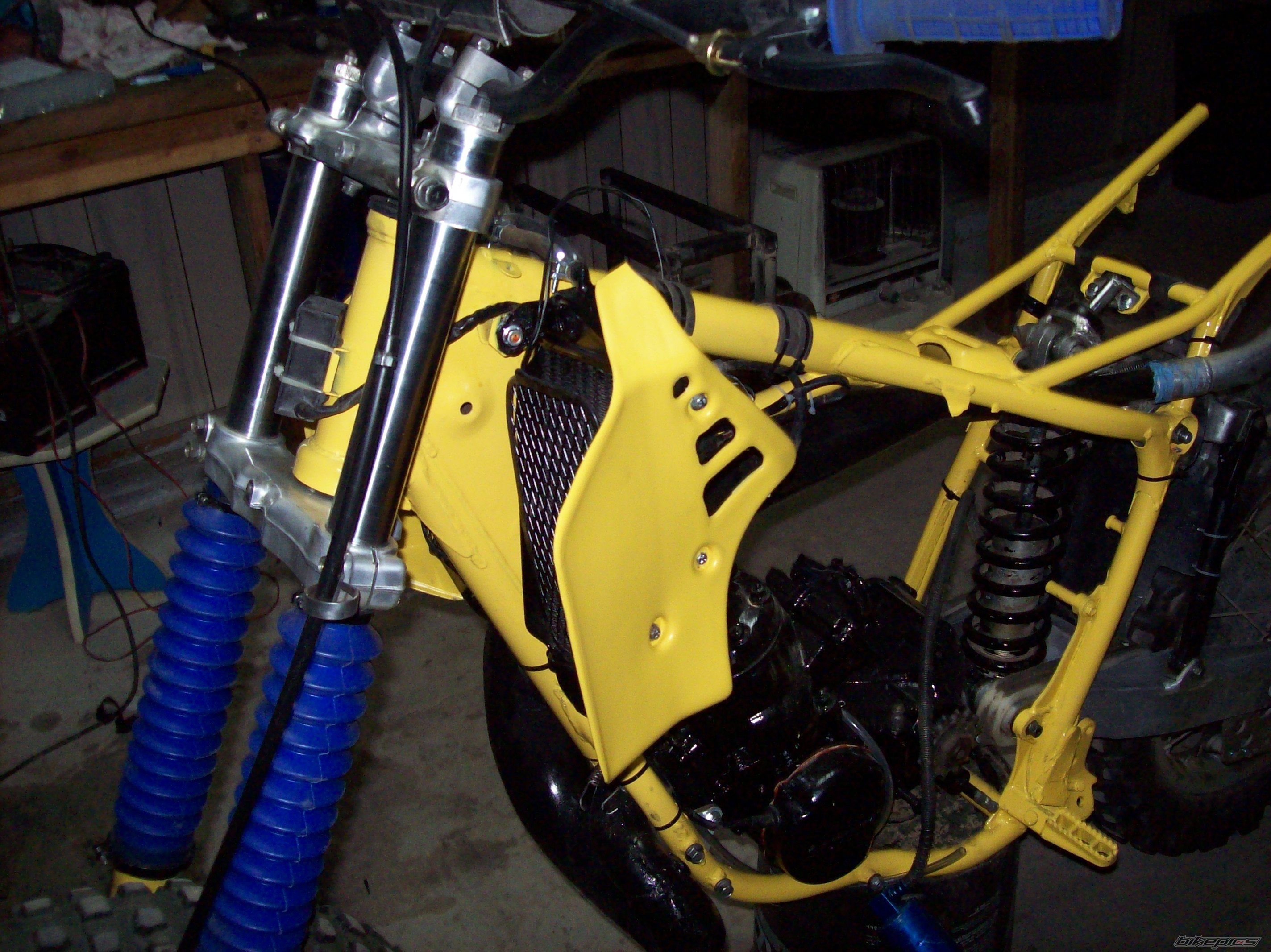 1982 SUZUKI RM 250 | Picture 1289102 motorcycle photo