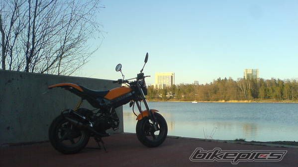 1997 SUZUKI TR 50 STREET MAGIC | Picture 1289360 motorcycle photo