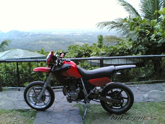 1996 HONDA XL 250 | Picture 1289451 motorcycle photo