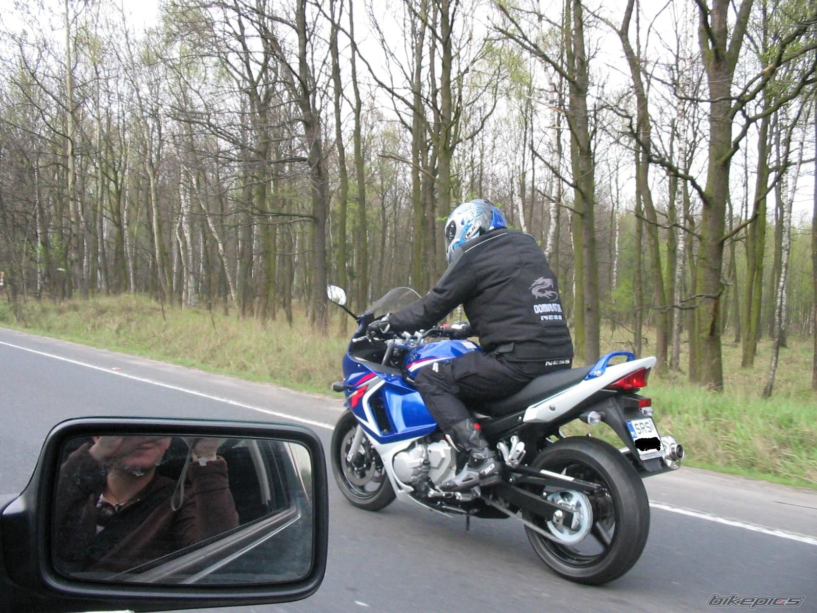 2008 SUZUKI GSX650F | Picture 1289899 motorcycle photo