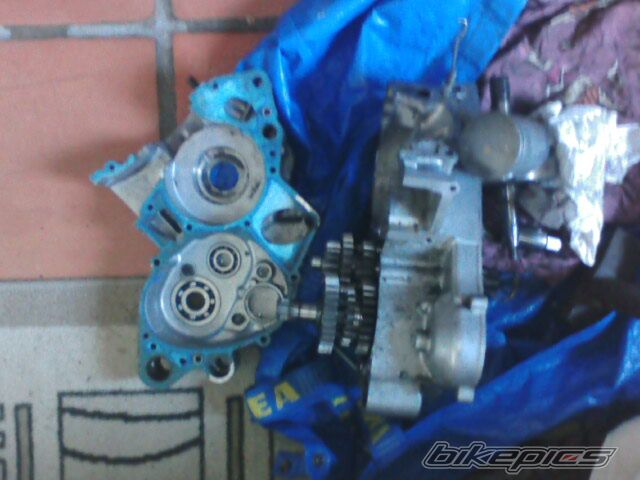 1992 SUZUKI RM 125 | Picture 1289974 motorcycle photo