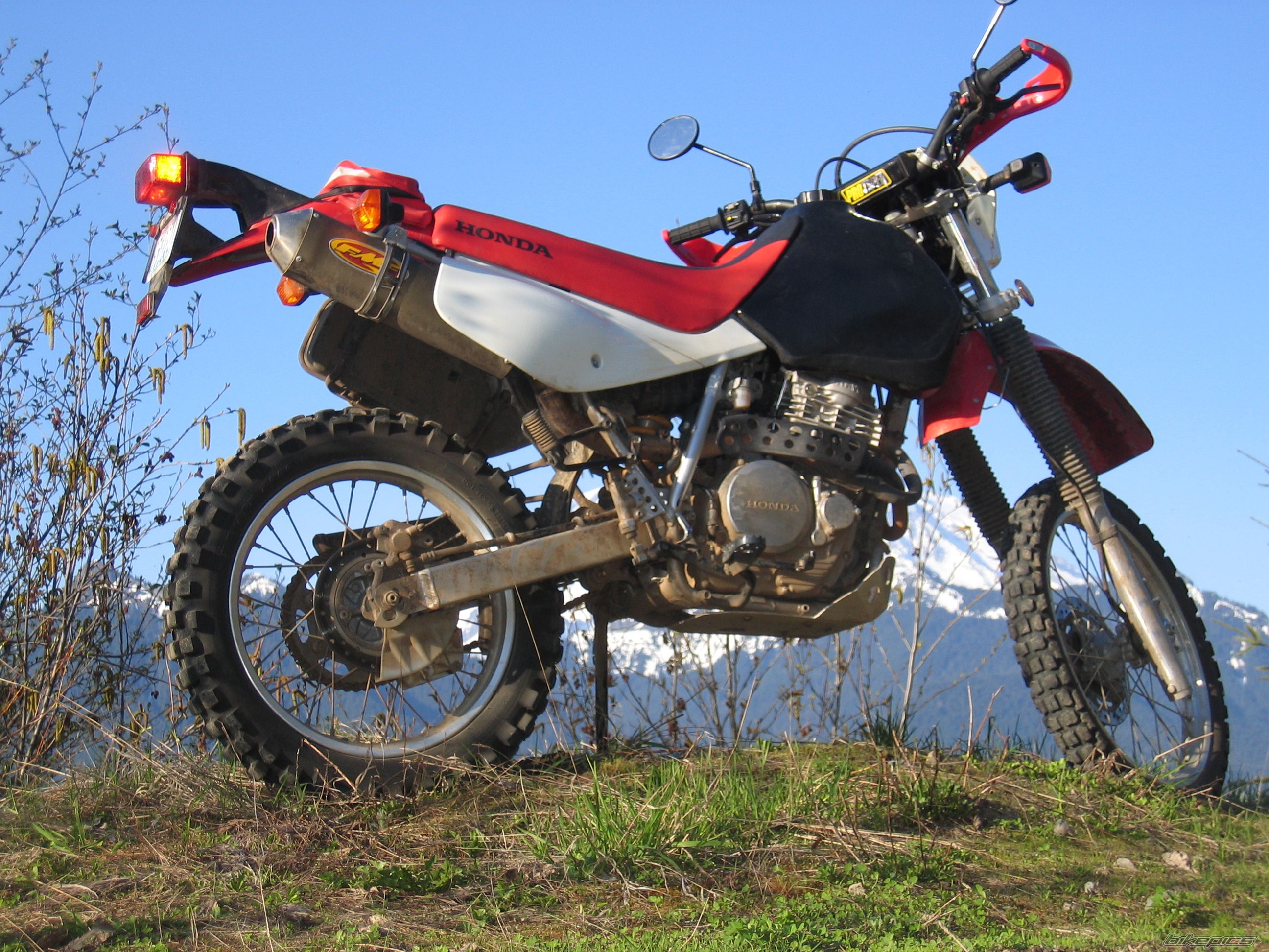2008 HONDA XR 650 | Picture 1290099 motorcycle photo