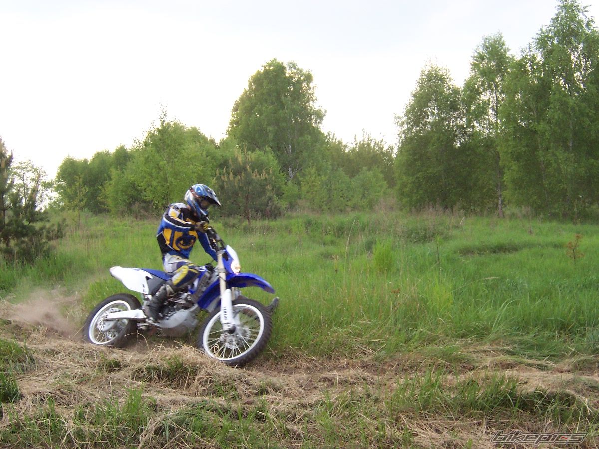 2008 YAMAHA WR 250F | Picture 1290702 motorcycle photo