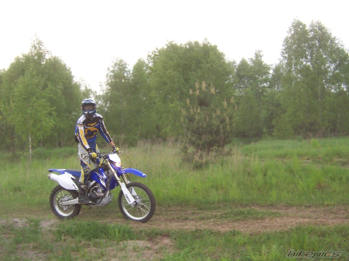 2008 YAMAHA WR 250F | Picture 1290705 motorcycle photo