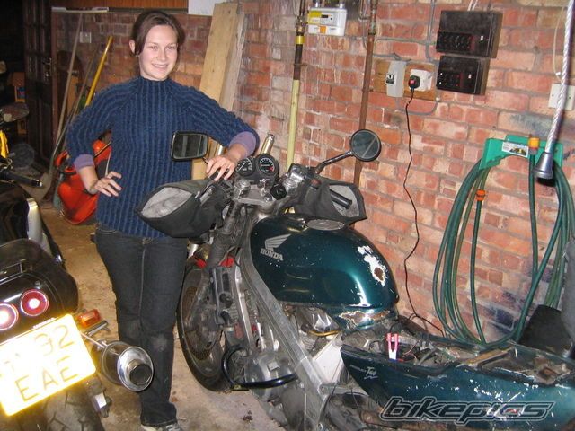 1991 HONDA BROS 400 | Picture 1290724 motorcycle photo