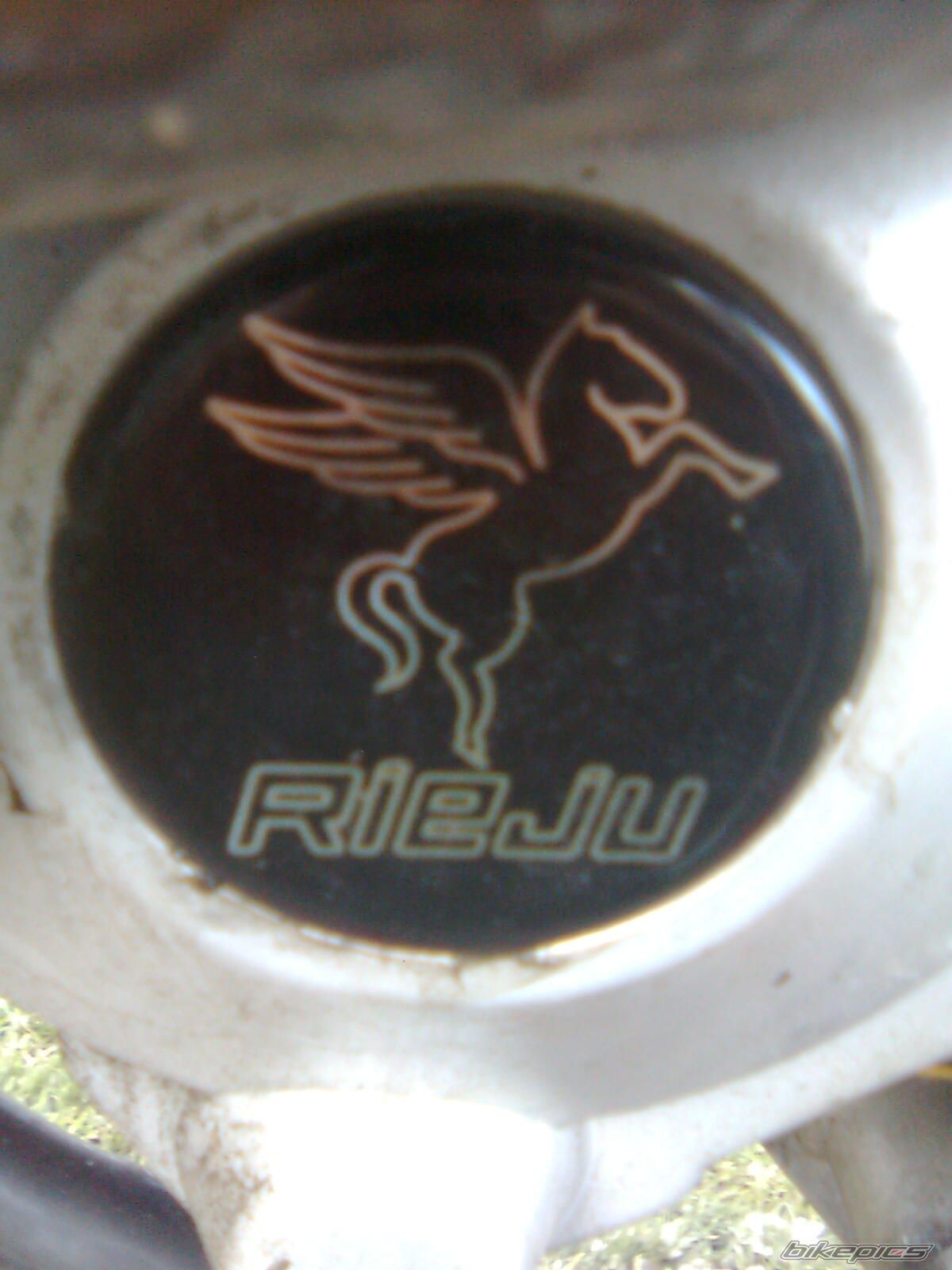 2005 RIEJU RR 50 | Picture 1291093 motorcycle photo