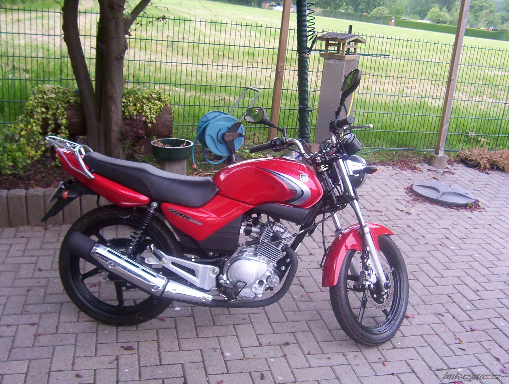 2008 YAMAHA YBR 125 | Picture 1291296 motorcycle photo