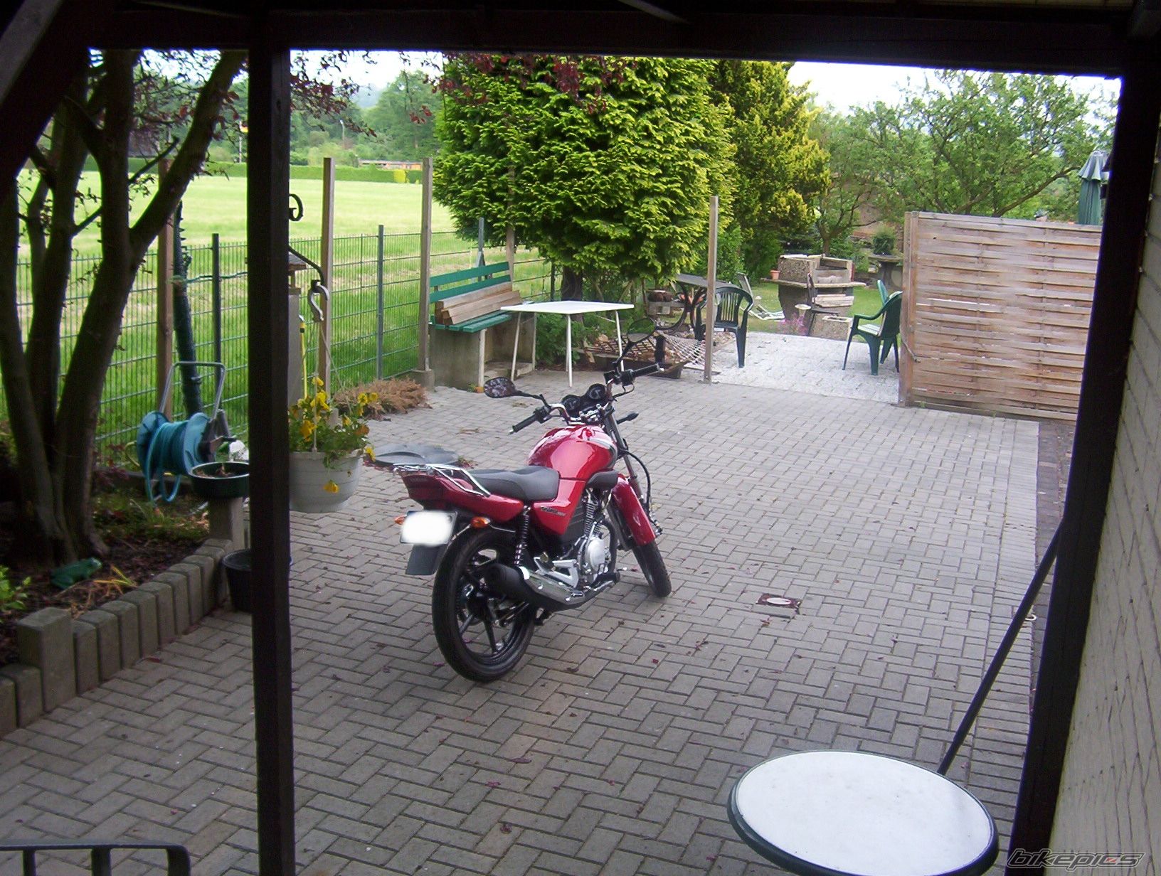 2008 YAMAHA YBR 125 | Picture 1291298 motorcycle photo