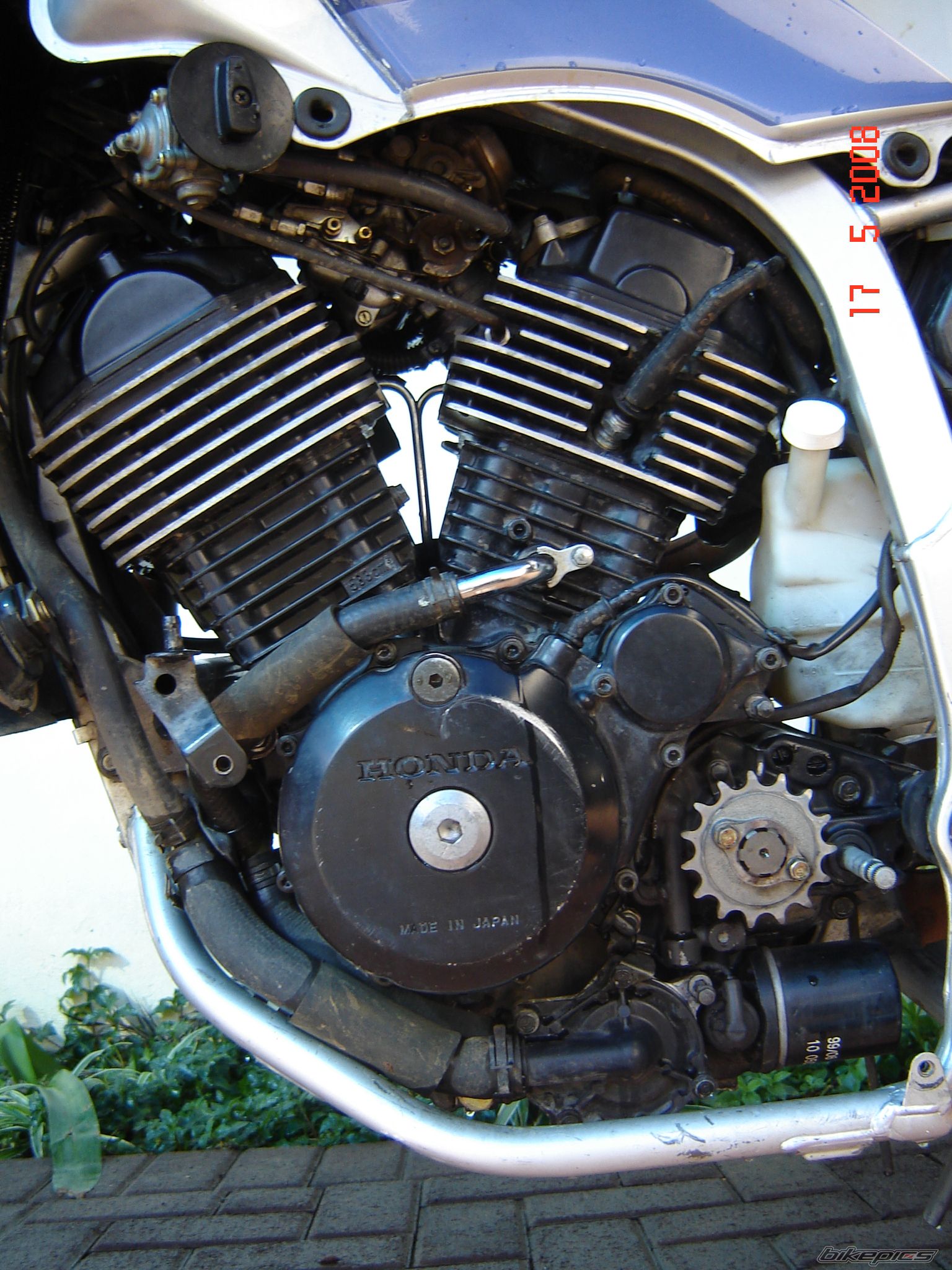 1987 HONDA XL 600V TRANSALP | Picture 1292054 motorcycle photo