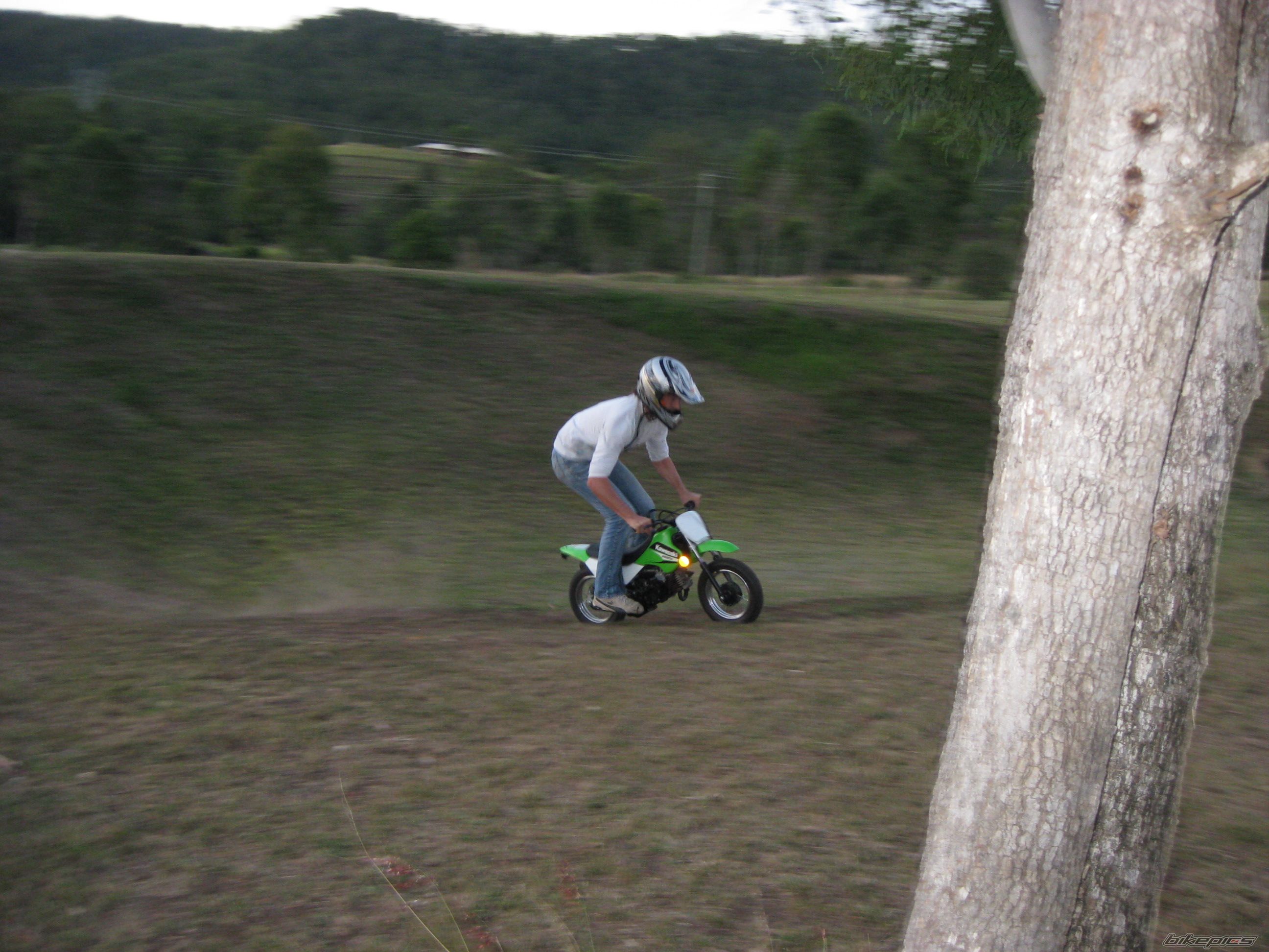 2006 SUZUKI JR 50 | Picture 1292077 motorcycle photo