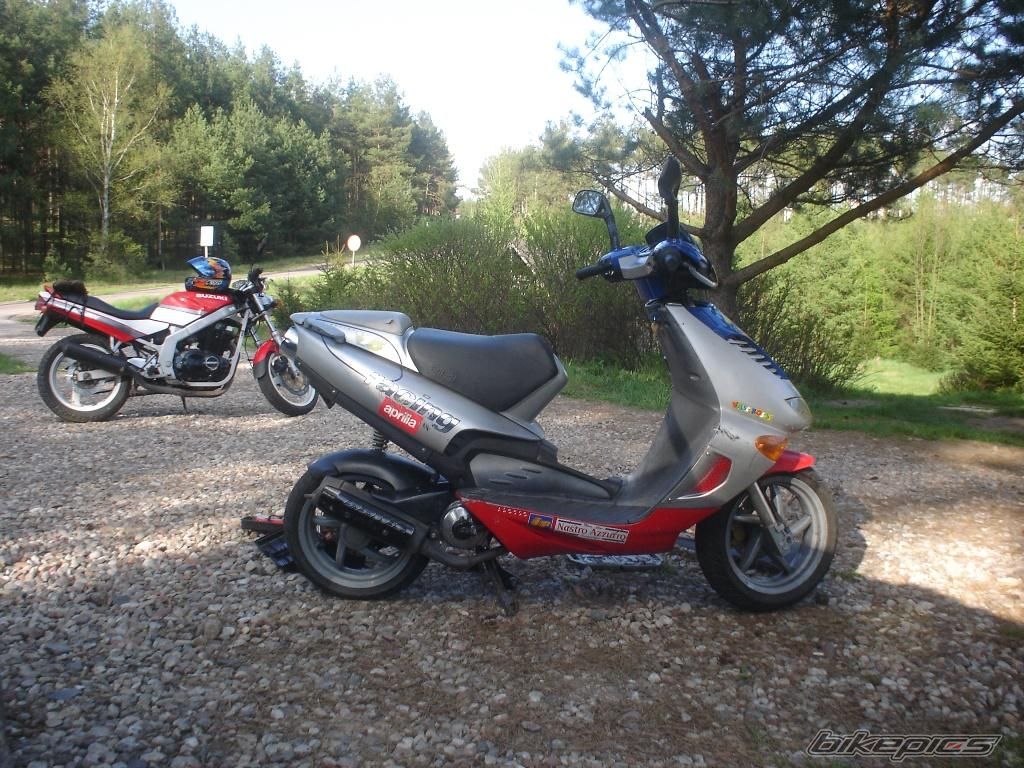 1998 APRILIA SR RACING 50 | Picture 1292611 motorcycle photo