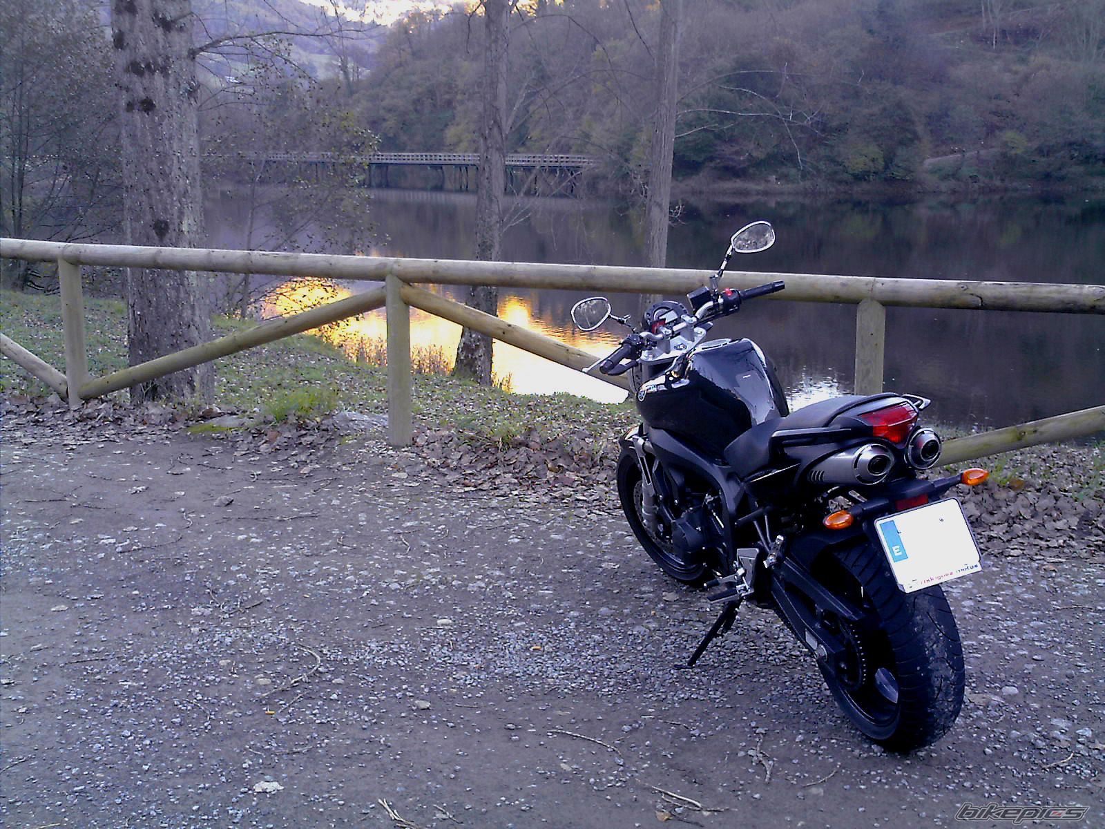 2006 YAMAHA FZ6N | Picture 1293366 motorcycle photo