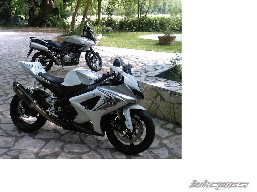 2008 SUZUKI GSX R 1000 | Picture 1293408 motorcycle photo