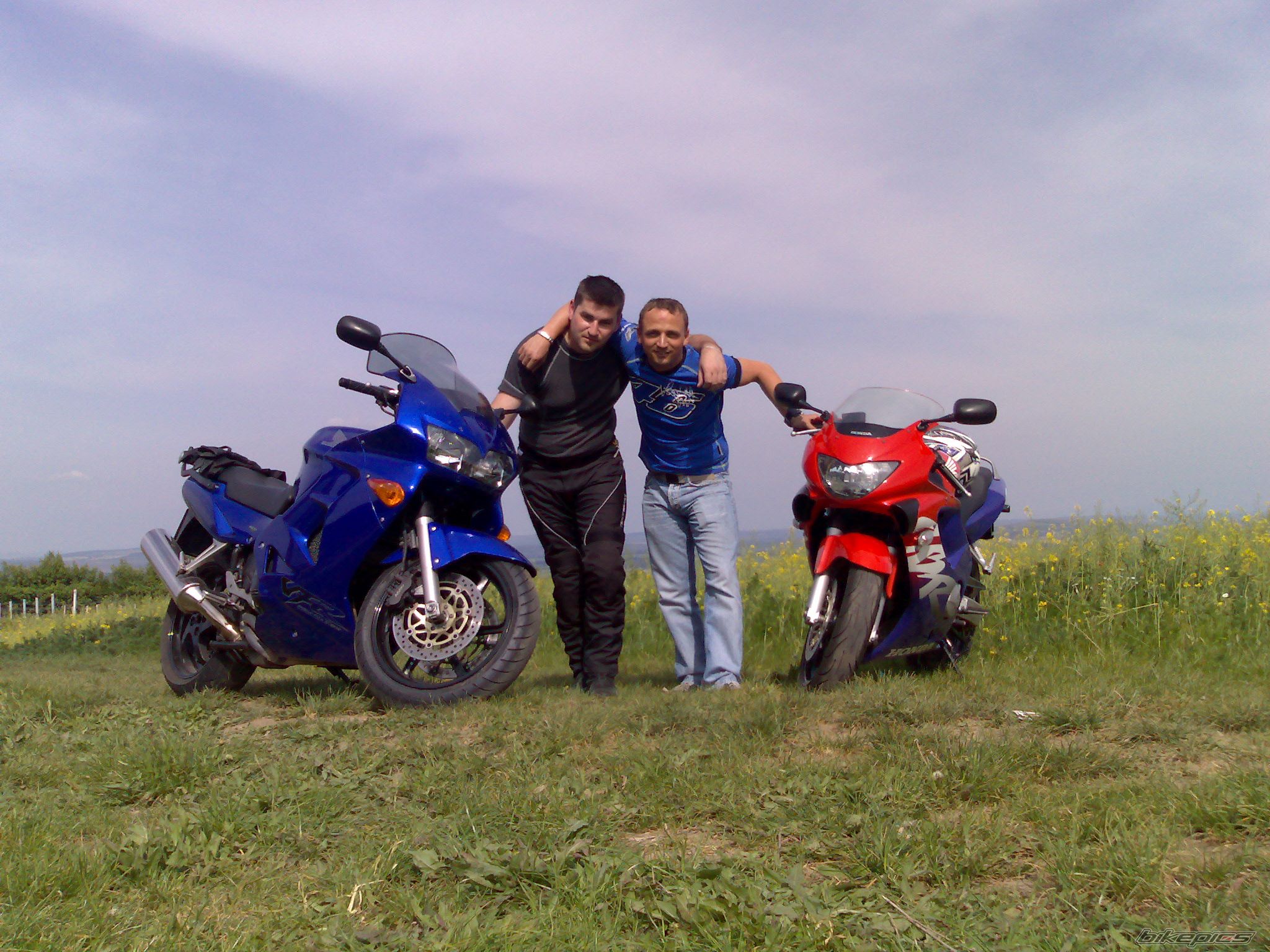 2000 HONDA VFR 800 | Picture 1293422 motorcycle photo