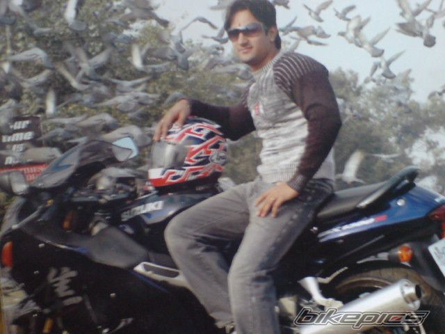 2005 SUZUKI HAYABUSA | Picture 1293433 motorcycle photo