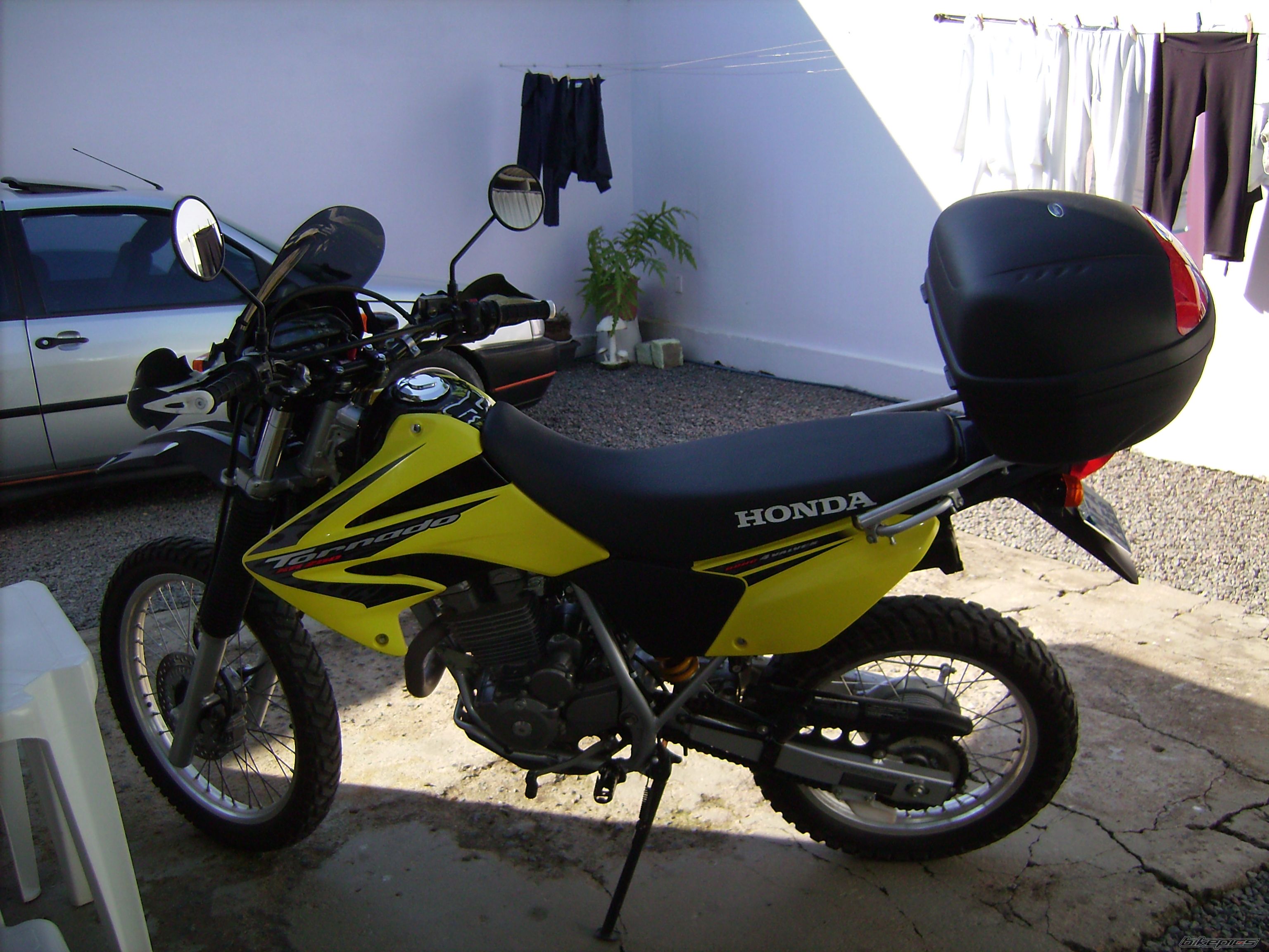 2008 HONDA XR 250 | Picture 1293596 motorcycle photo