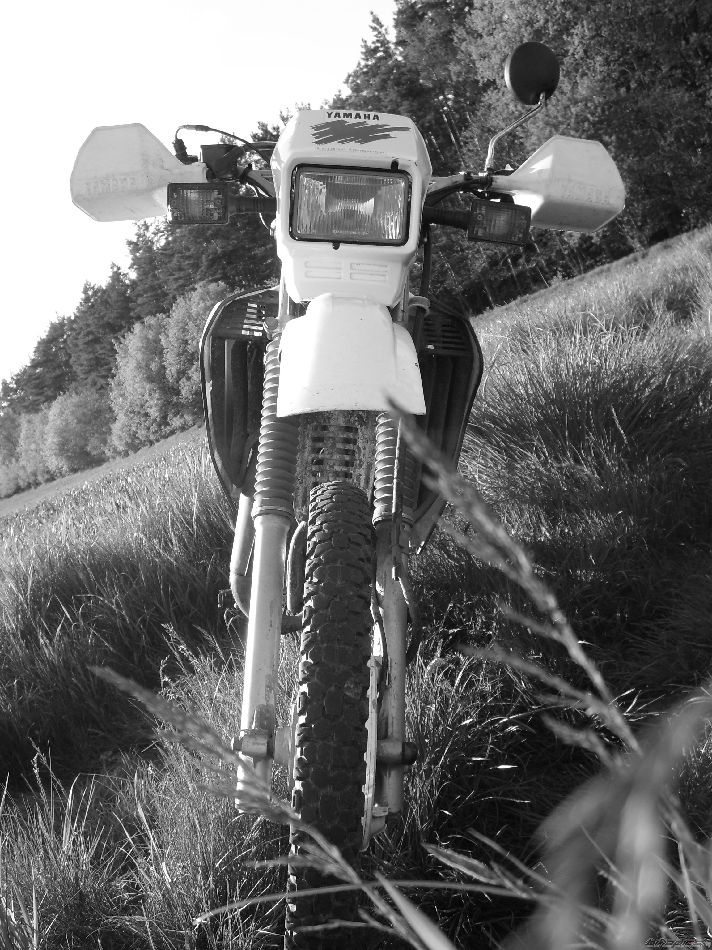 1993 YAMAHA DT 50 | Picture 1293815 motorcycle photo