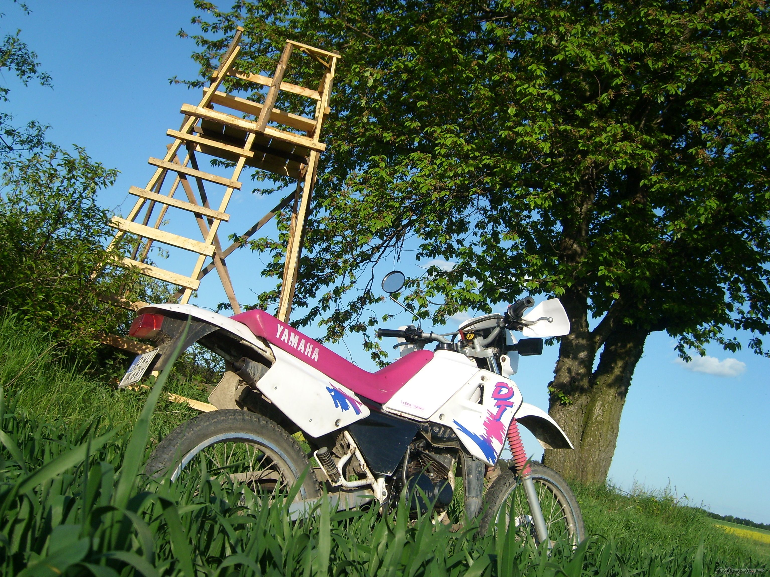 1993 YAMAHA DT 50 | Picture 1293819 motorcycle photo