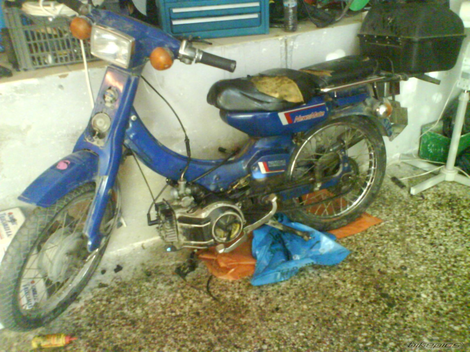 2008 HONDA CR 125 | Picture 1293920 motorcycle photo