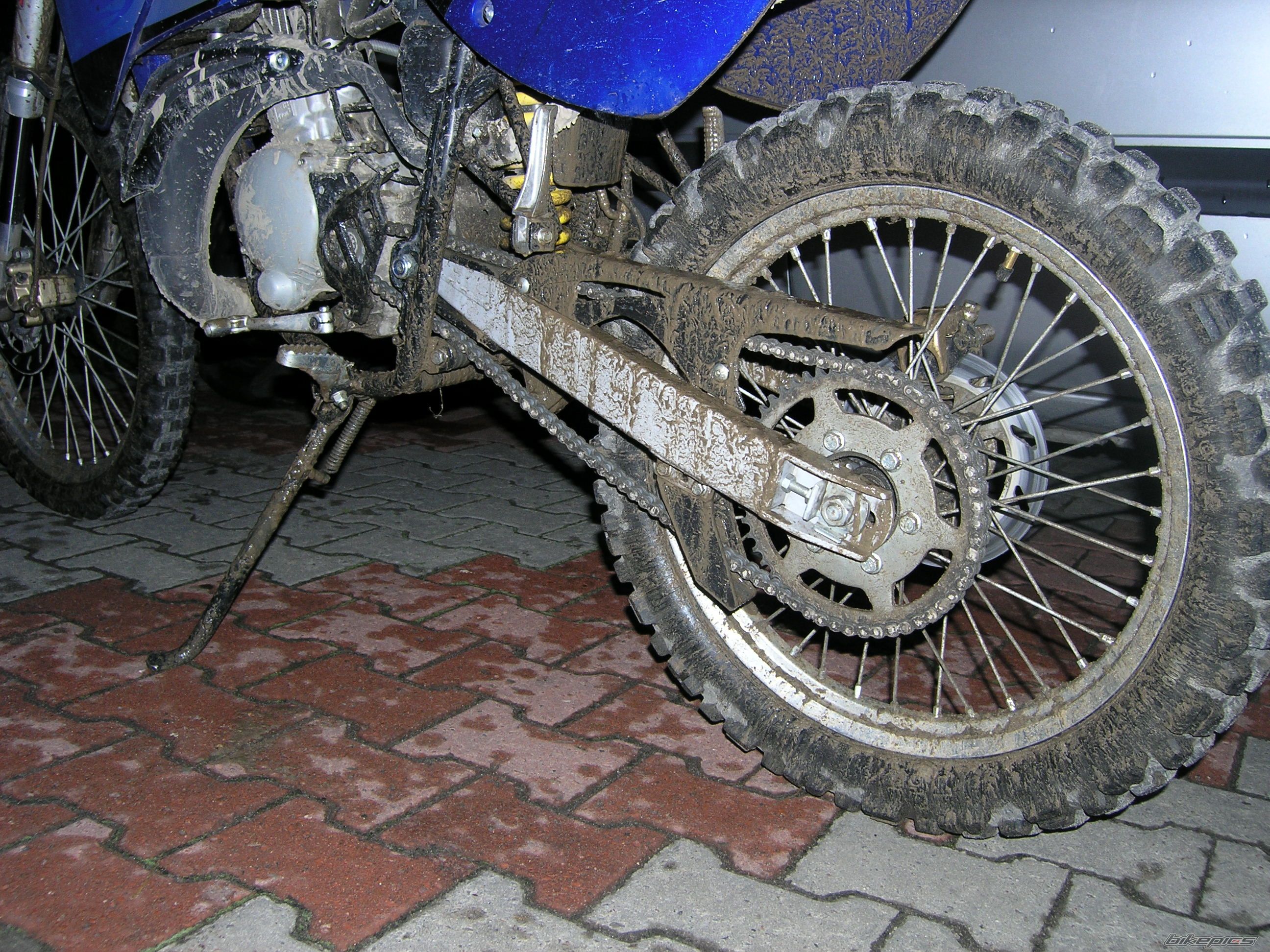 2006 RIEJU RR 50 | Picture 1293962 motorcycle photo