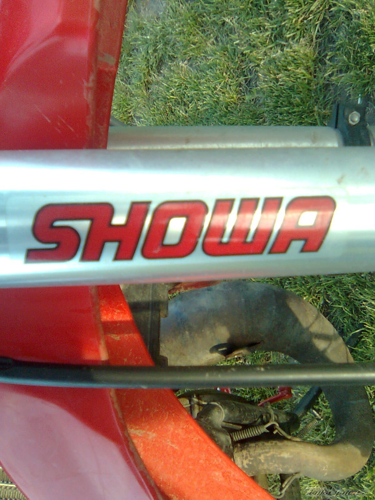 2005 RIEJU RR 50 | Picture 1294047 motorcycle photo
