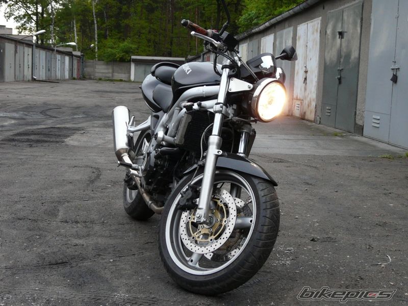 1999 SUZUKI SV 650 | Picture 1294366 motorcycle photo