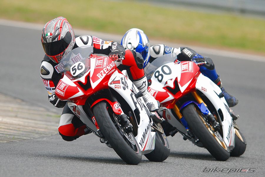 2008 YAMAHA YZF R6 | Picture 1294487 motorcycle photo