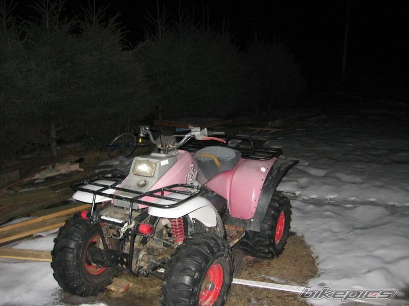 1992 POLARIS TRAIL BOSS 250 | Picture 1294528 motorcycle photo