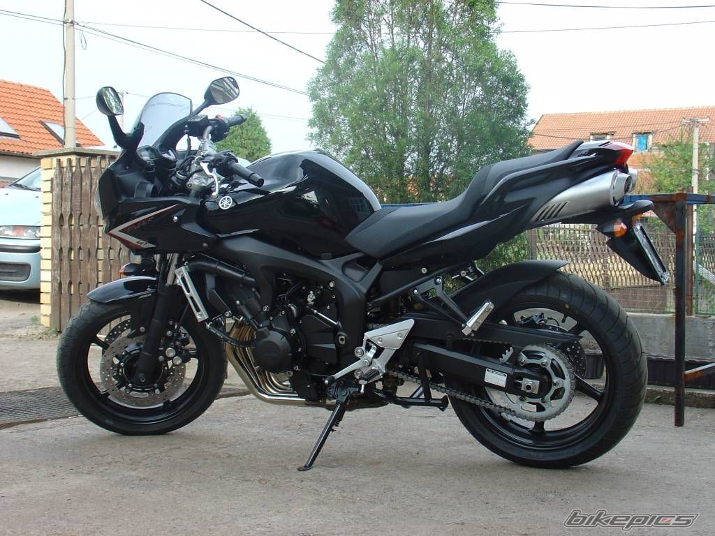 2008 YAMAHA FZ6 FAZER | Picture 1295211 motorcycle photo