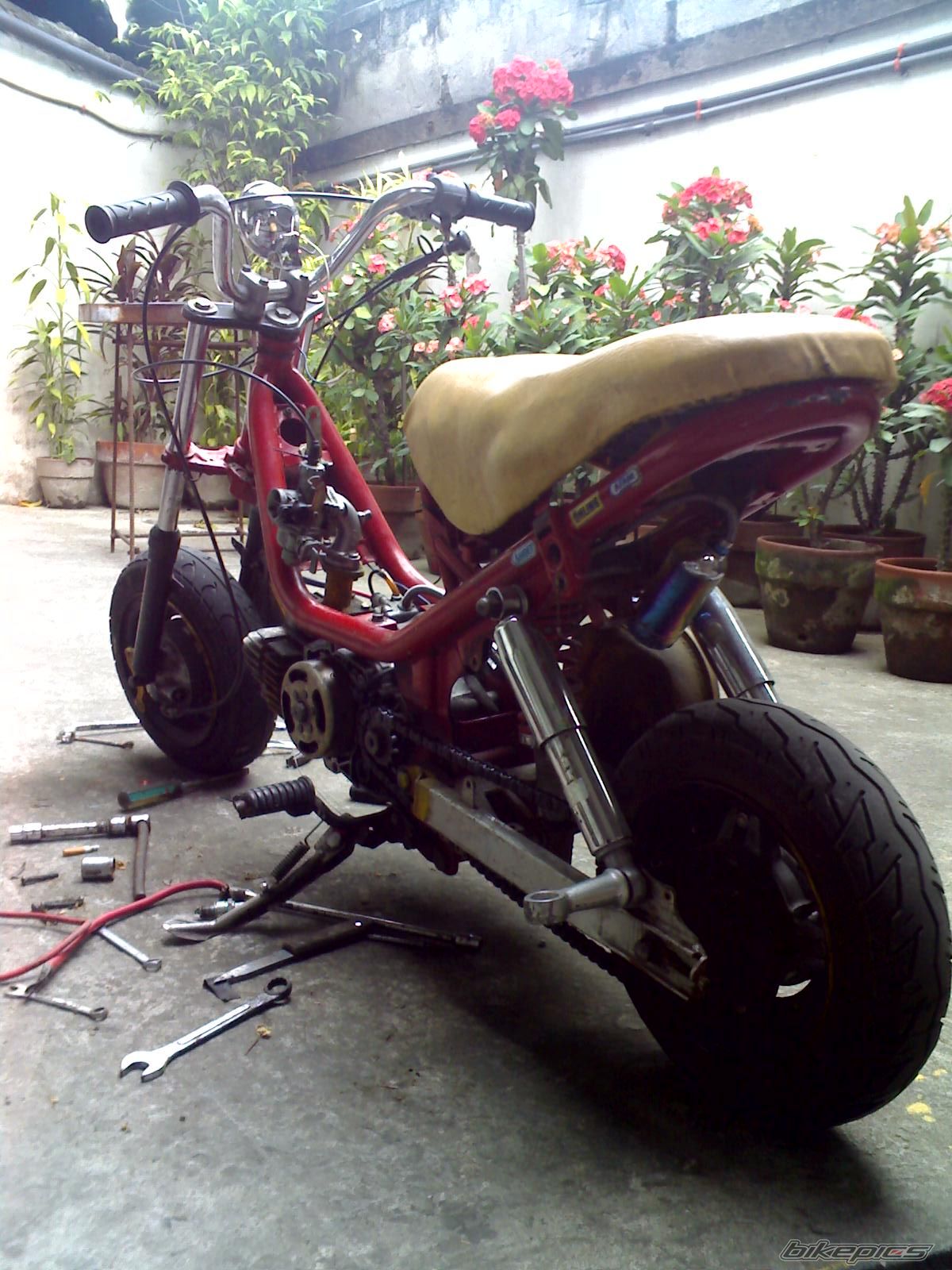 1990 YAMAHA LB 50 CHAPPY | Picture 1295725 motorcycle photo