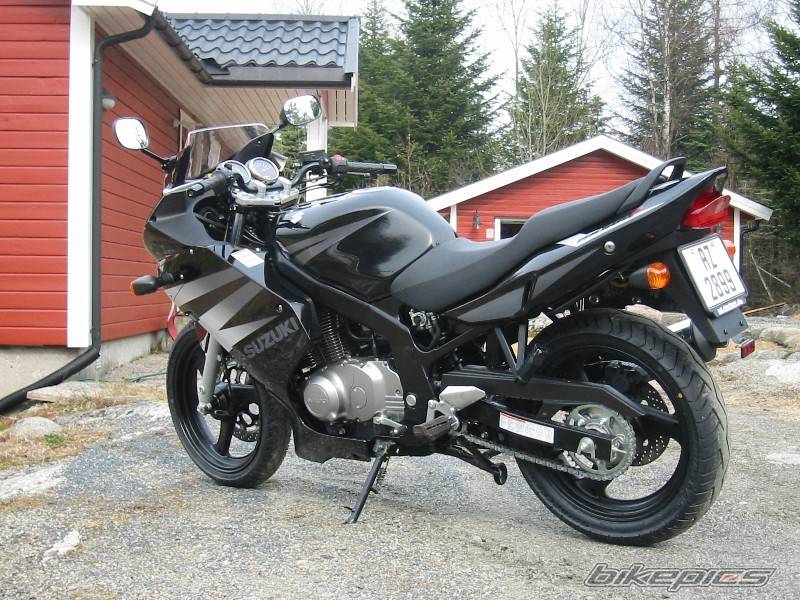2004 SUZUKI GS 500 | Picture 129585 motorcycle photo