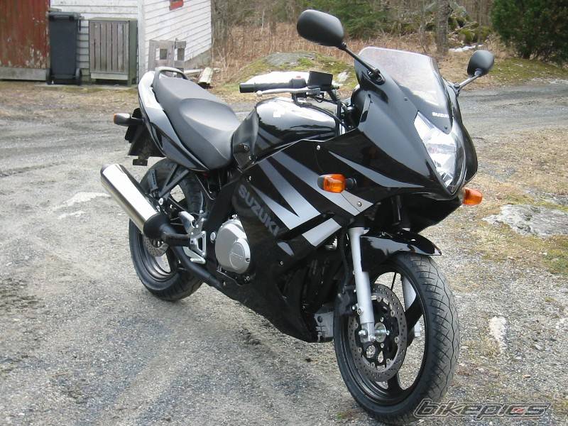 2004 SUZUKI GS 500 | Picture 129587 motorcycle photo