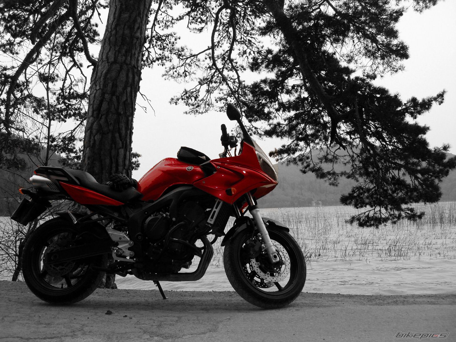 2006 YAMAHA FZ6 FAZER | Picture 1296053 motorcycle photo