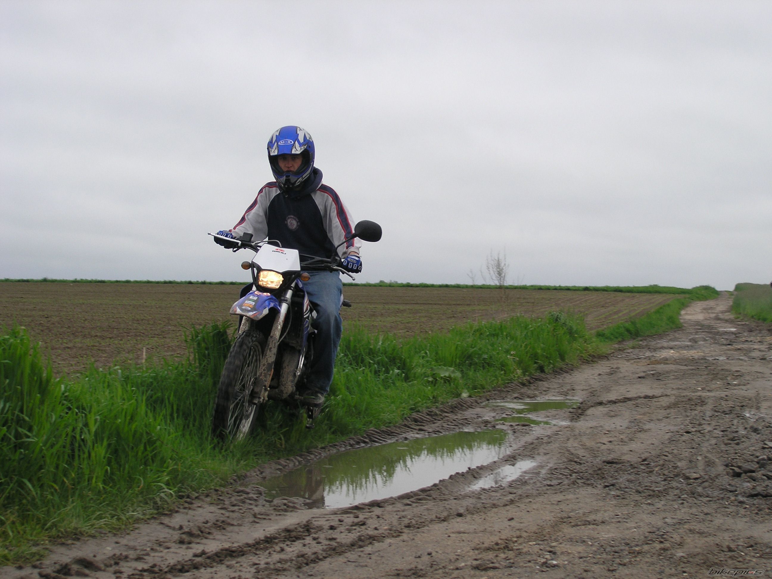 2006 RIEJU RR 50 | Picture 1296118 motorcycle photo