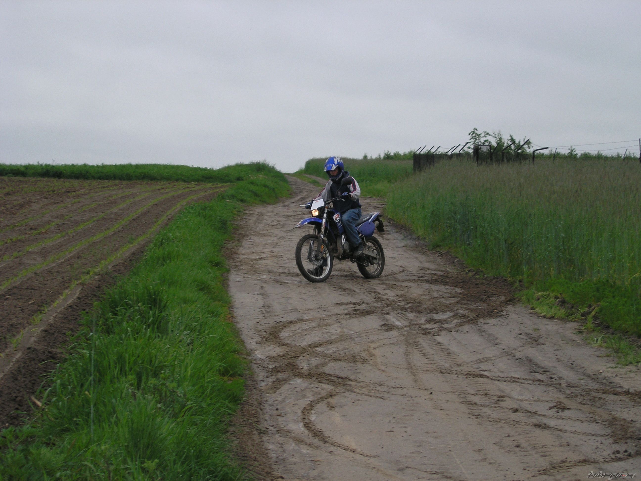 2006 RIEJU RR 50 | Picture 1296152 motorcycle photo